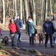 RRS_Fotogalerien_2016-01-10_Muengstener_Bruecke072