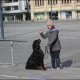 RRS_Fotogalerien_2016-02-28_Stadtagility036