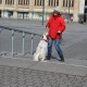 RRS_Fotogalerien_2016-02-28_Stadtagility045