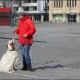 RRS_Fotogalerien_2016-02-28_Stadtagility061
