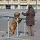 RRS_Fotogalerien_2016-02-28_Stadtagility062