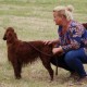 RRS_Fotogalerien_2016-06-12_Hundestunde060