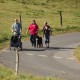 RRS_Fotogalerien_2016-09-25_Wuppertalsperre026