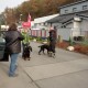 RRS_Fotogalerien_2016-11-13_Naafbachtal002