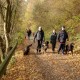 RRS_Fotogalerien_2016-11-13_Naafbachtal008