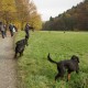 RRS_Fotogalerien_2016-11-13_Naafbachtal018