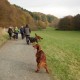 RRS_Fotogalerien_2016-11-13_Naafbachtal021