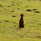 RRS_Fotogalerien_2016-11-13_Naafbachtal025
