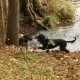 RRS_Fotogalerien_2016-11-13_Naafbachtal028