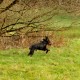 RRS_Fotogalerien_2016-11-13_Naafbachtal042