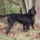 RRS_Fotogalerien_2016-11-13_Naafbachtal067