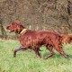 RRS_Fotogalerien_2016-11-13_Naafbachtal069