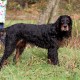 RRS_Fotogalerien_2016-11-13_Naafbachtal071