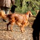 RRS_Fotogalerien_2016-11-13_Naafbachtal075