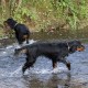 RRS_Fotogalerien_2016-11-13_Naafbachtal099