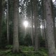 RRS_Fotogalerien_2016-11-13_Naafbachtal104
